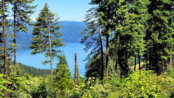 20.1 Acres of Recreational Land for Sale in Orofino, Idaho