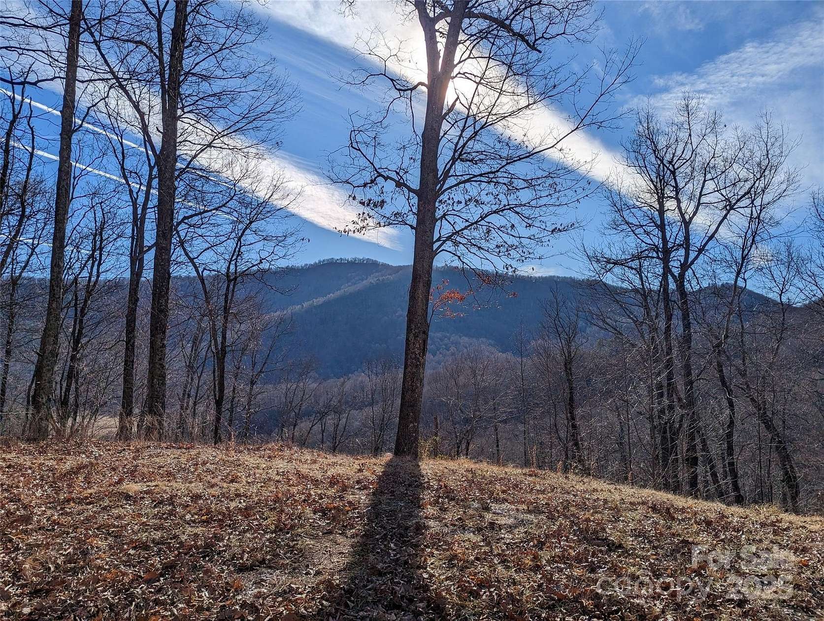 4.17 Acres of Land for Sale in Black Mountain, North Carolina