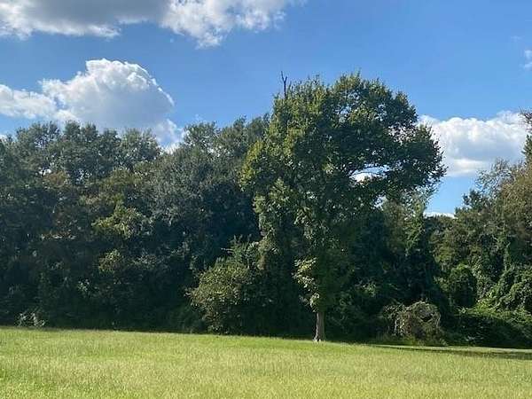 25 Acres of Land for Sale in Athens, Texas