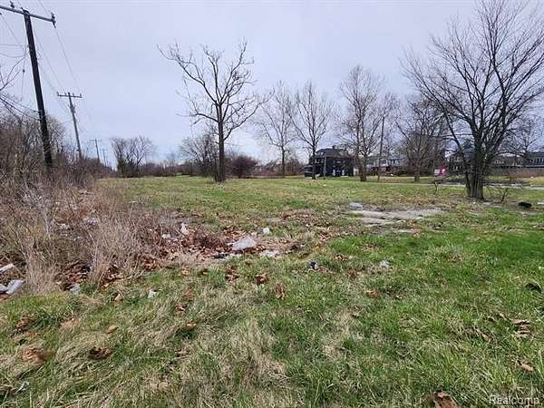 0.07 Acres of Residential Land for Sale in Detroit, Michigan