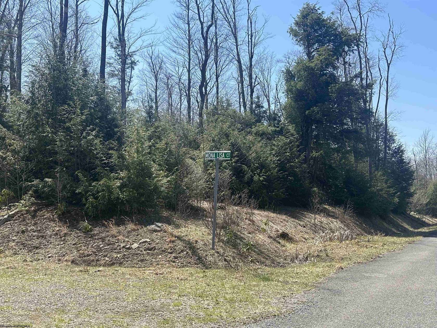 0.52 Acres of Residential Land for Sale in Davis, West Virginia