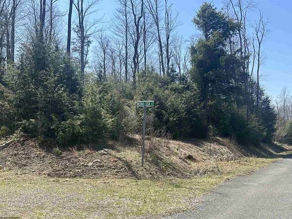 0.52 Acres of Residential Land for Sale in Davis, West Virginia