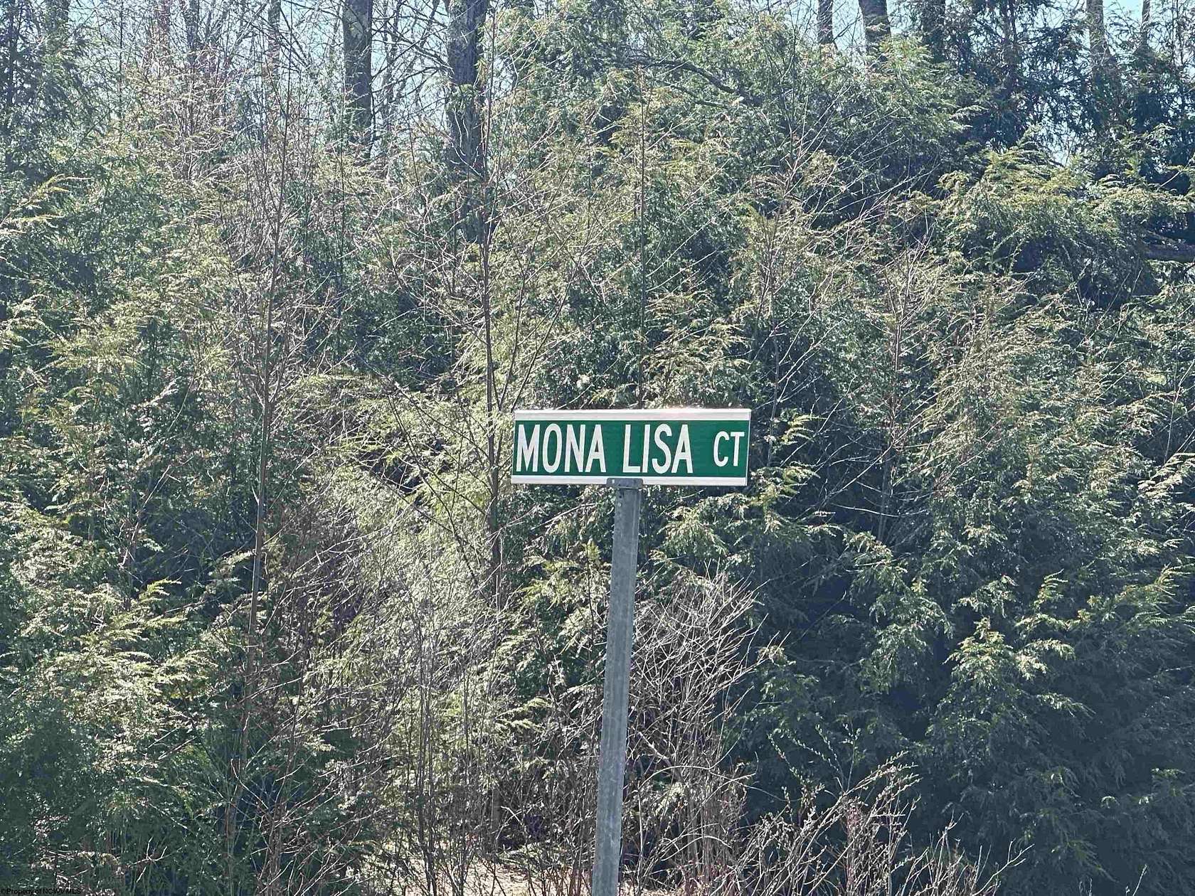 0.52 Acres of Residential Land for Sale in Davis, West Virginia