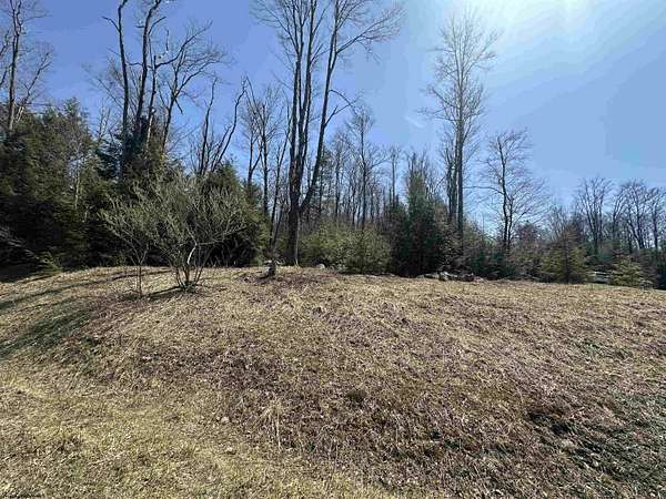0.52 Acres of Residential Land for Sale in Davis, West Virginia