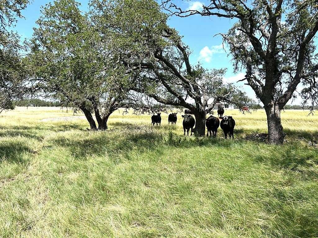 11 Acres of Land for Sale in Harper, Texas