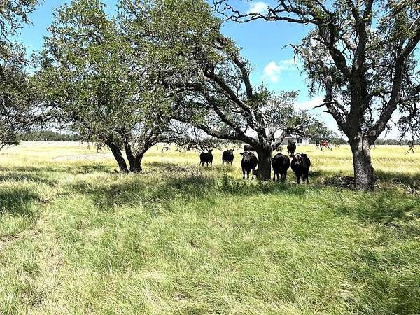 11 Acres of Land for Sale in Harper, Texas