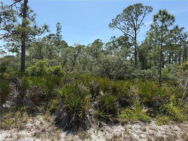 0.24 Acres of Residential Land for Sale in Lake Placid, Florida