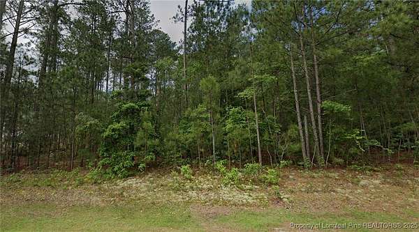 0.47 Acres of Residential Land for Sale in Wagram, North Carolina