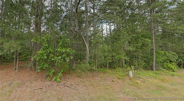 0.46 Acres of Residential Land for Sale in Wagram, North Carolina