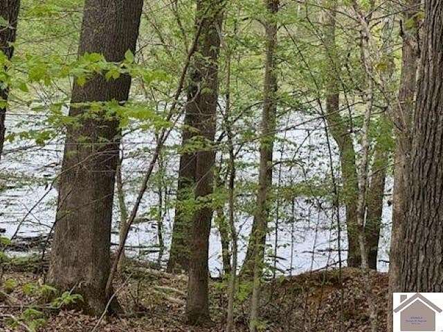 0.53 Acres of Residential Land for Sale in Eddyville, Kentucky