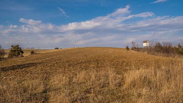 56.2 Acres of Land for Sale in Zumbro Falls, Minnesota