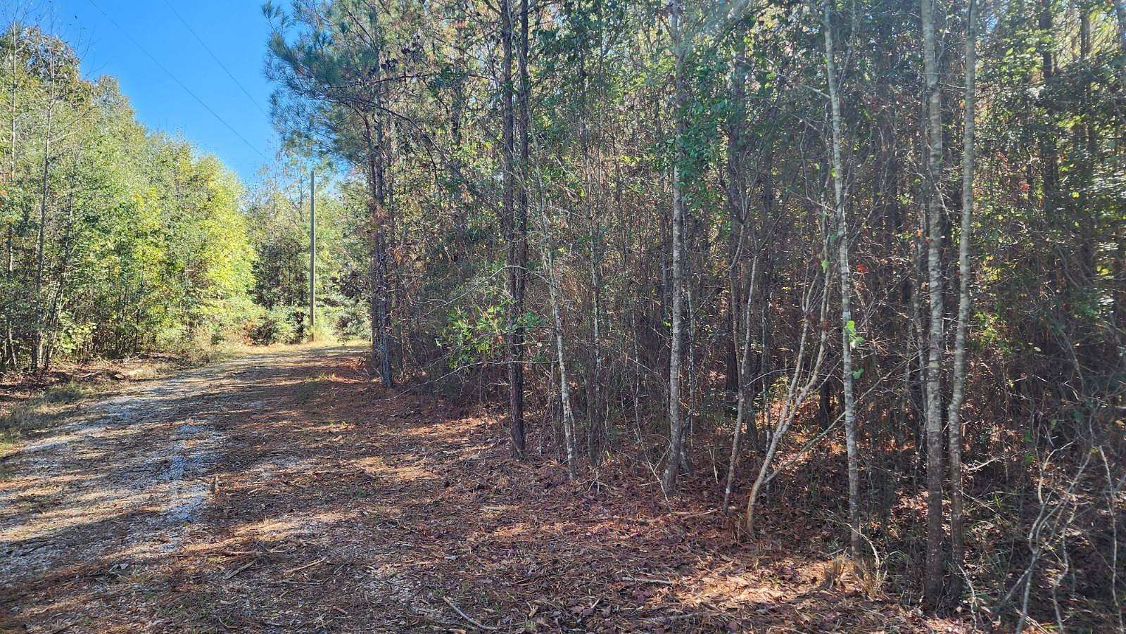 10 Acres of Recreational Land & Farm for Sale in Greensboro, Alabama