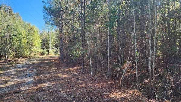 10 Acres of Recreational Land & Farm for Sale in Greensboro, Alabama