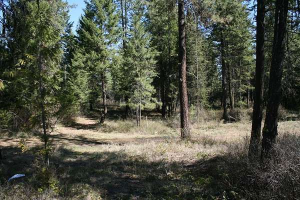 20 Acres of Land for Sale in Springdale, Washington