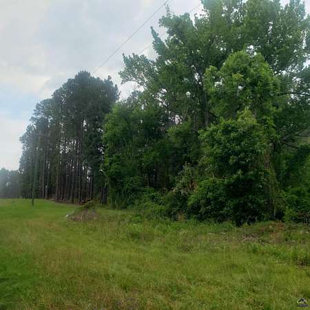 41.2 Acres of Land for Sale in Dublin, Georgia