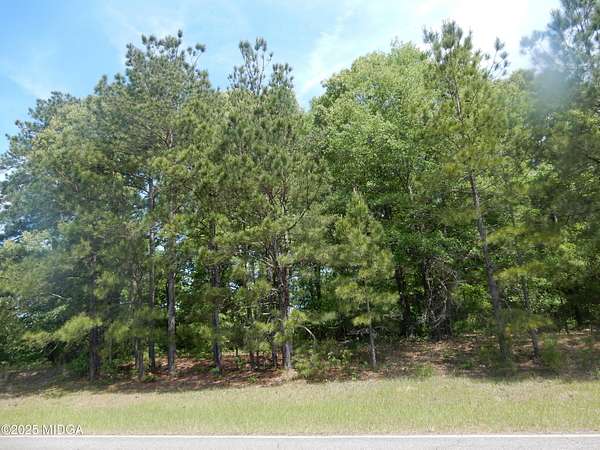 3 Acres of Residential Land for Sale in Dry Branch, Georgia