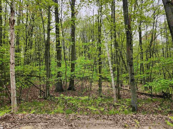 0.89 Acres of Residential Land for Sale in Farwell, Michigan