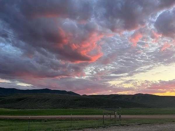 226 Acres of Recreational Land & Farm for Sale in Hamilton, Colorado