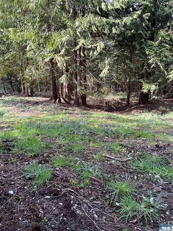 2.57 Acres of Residential Land for Sale in Sequim, Washington