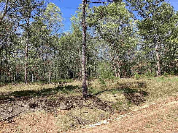 3 Acres of Land for Sale in Mena, Arkansas