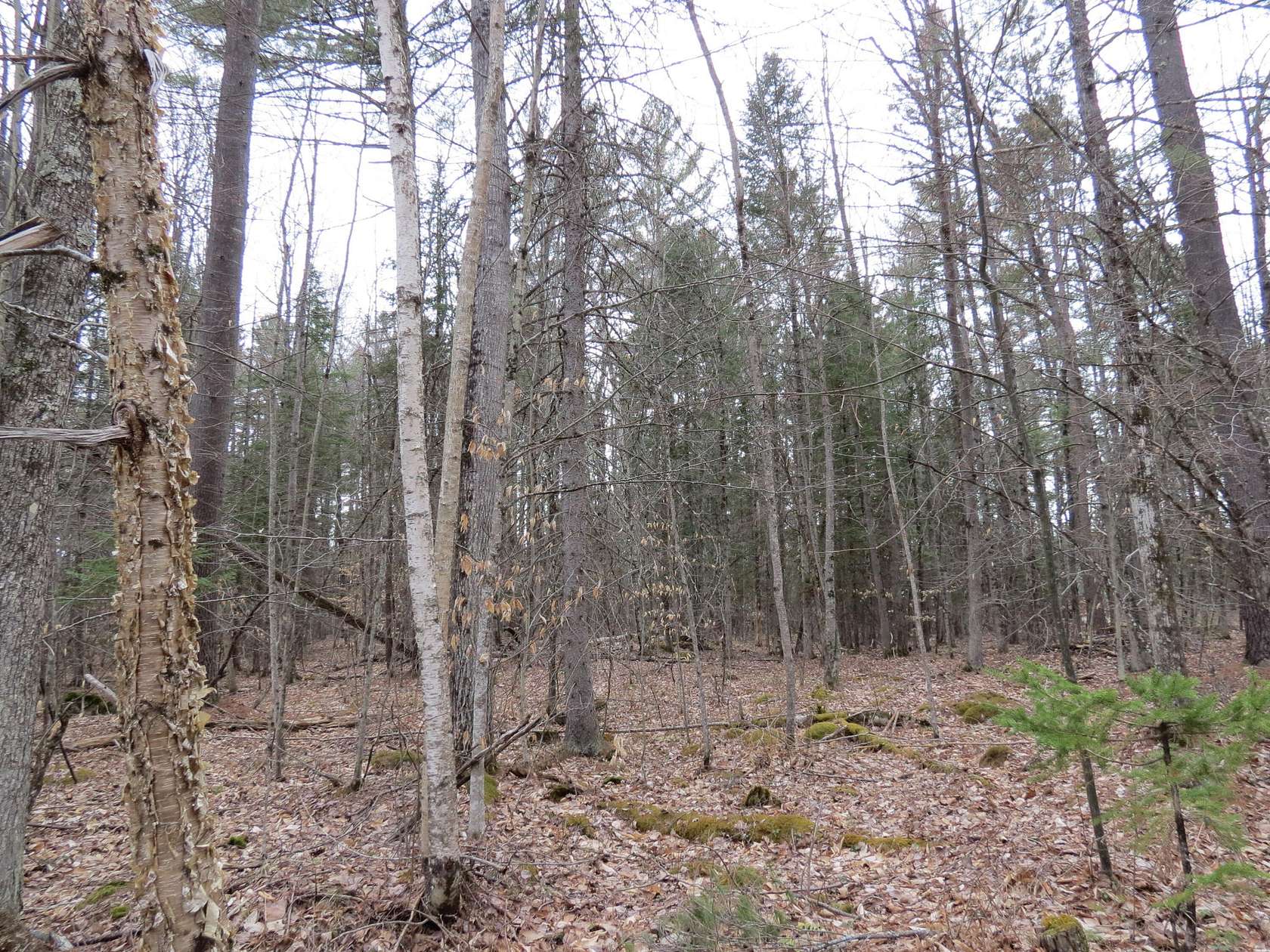 0.8 Acres of Residential Land for Sale in Jay, New York