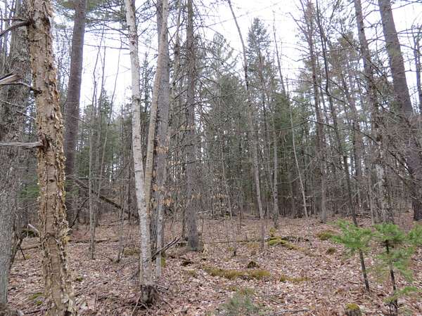 0.8 Acres of Residential Land for Sale in Jay, New York