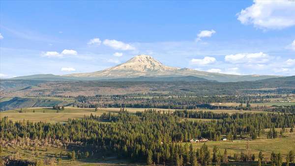 20 Acres of Land for Sale in Centerville, Washington