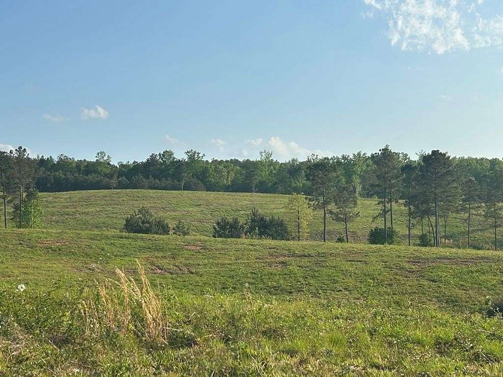 345 Acres of Agricultural Land for Sale in Roopville, Georgia