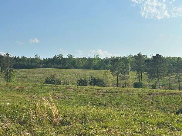 345 Acres of Agricultural Land for Sale in Roopville, Georgia