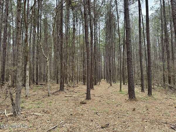 14.2 Acres of Land for Sale in Canton, Mississippi