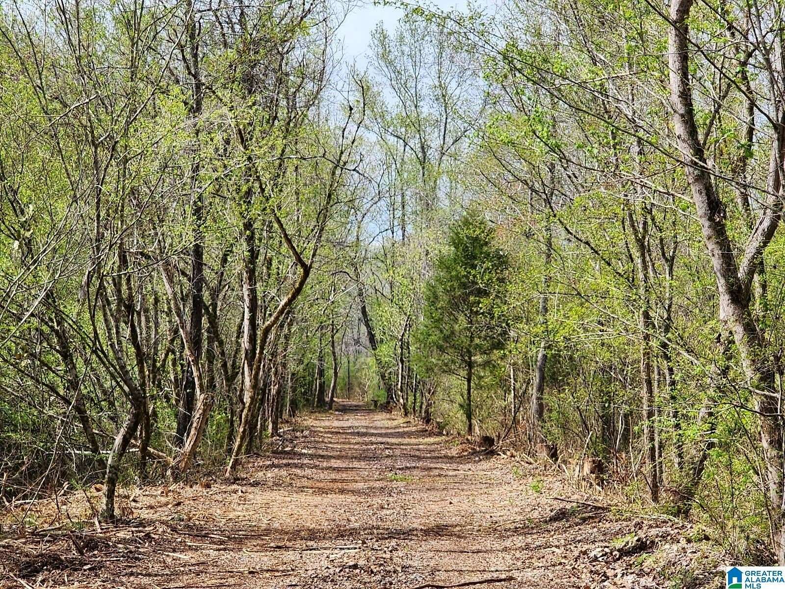 29 Acres of Agricultural Land for Sale in Shelby, Alabama
