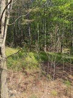 1.6 Acres of Residential Land for Sale in Ellijay, Georgia