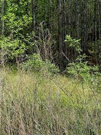 1.6 Acres of Residential Land for Sale in Ellijay, Georgia