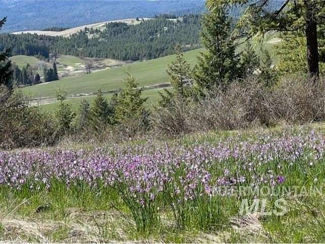 43.4 Acres of Land for Sale in Troy, Idaho