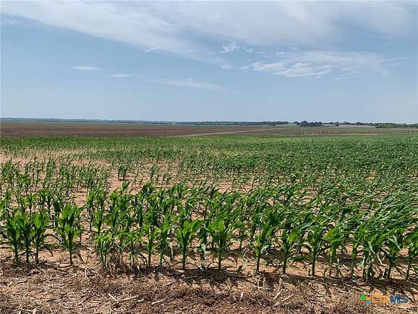 3 Acres of Residential Land for Sale in Chilton, Texas