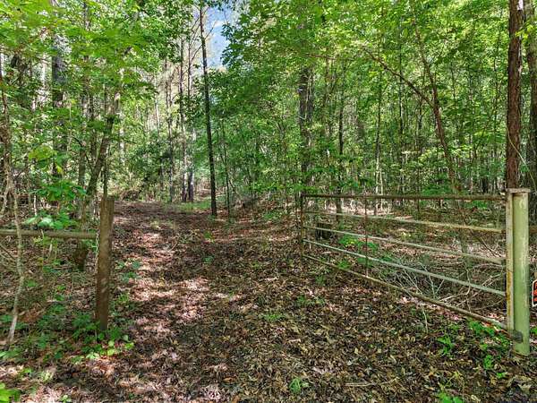 20 Acres of Recreational Land for Sale in Jefferson, Texas