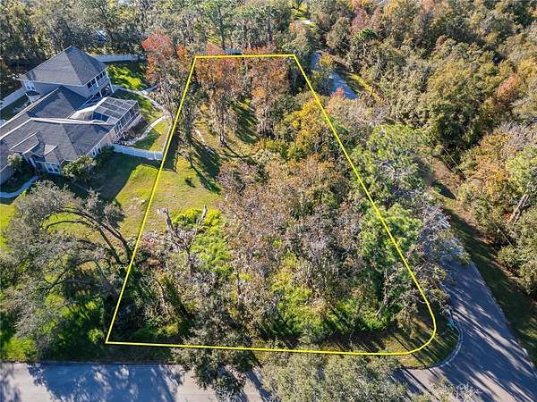 0.86 Acres of Residential Land for Sale in Riverview, Florida