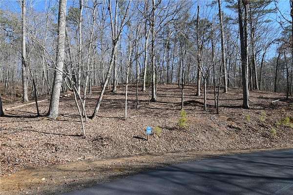 1 Acre of Residential Land for Sale in Ellijay, Georgia
