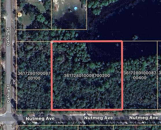2 Acres of Residential Land for Sale in Eustis, Florida