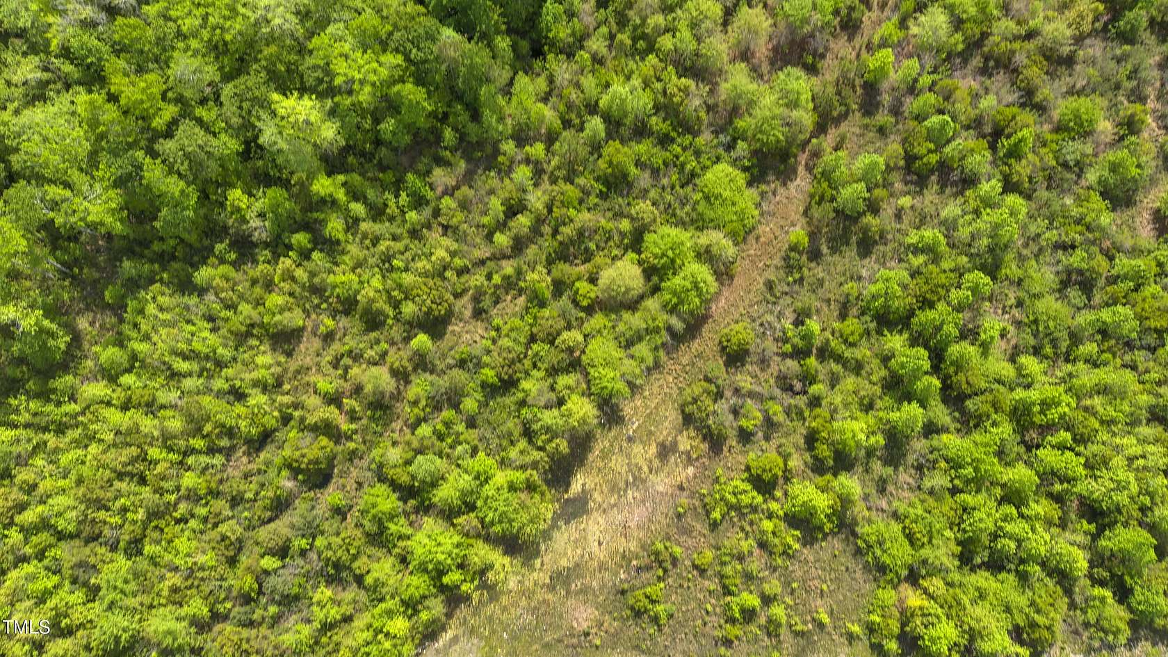 44.2 Acres of Recreational Land for Sale in Maple Hill, North Carolina