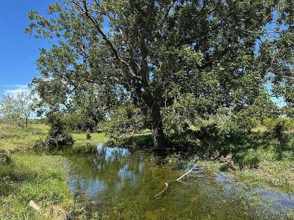 20 Acres of Land for Sale in Bertram, Texas