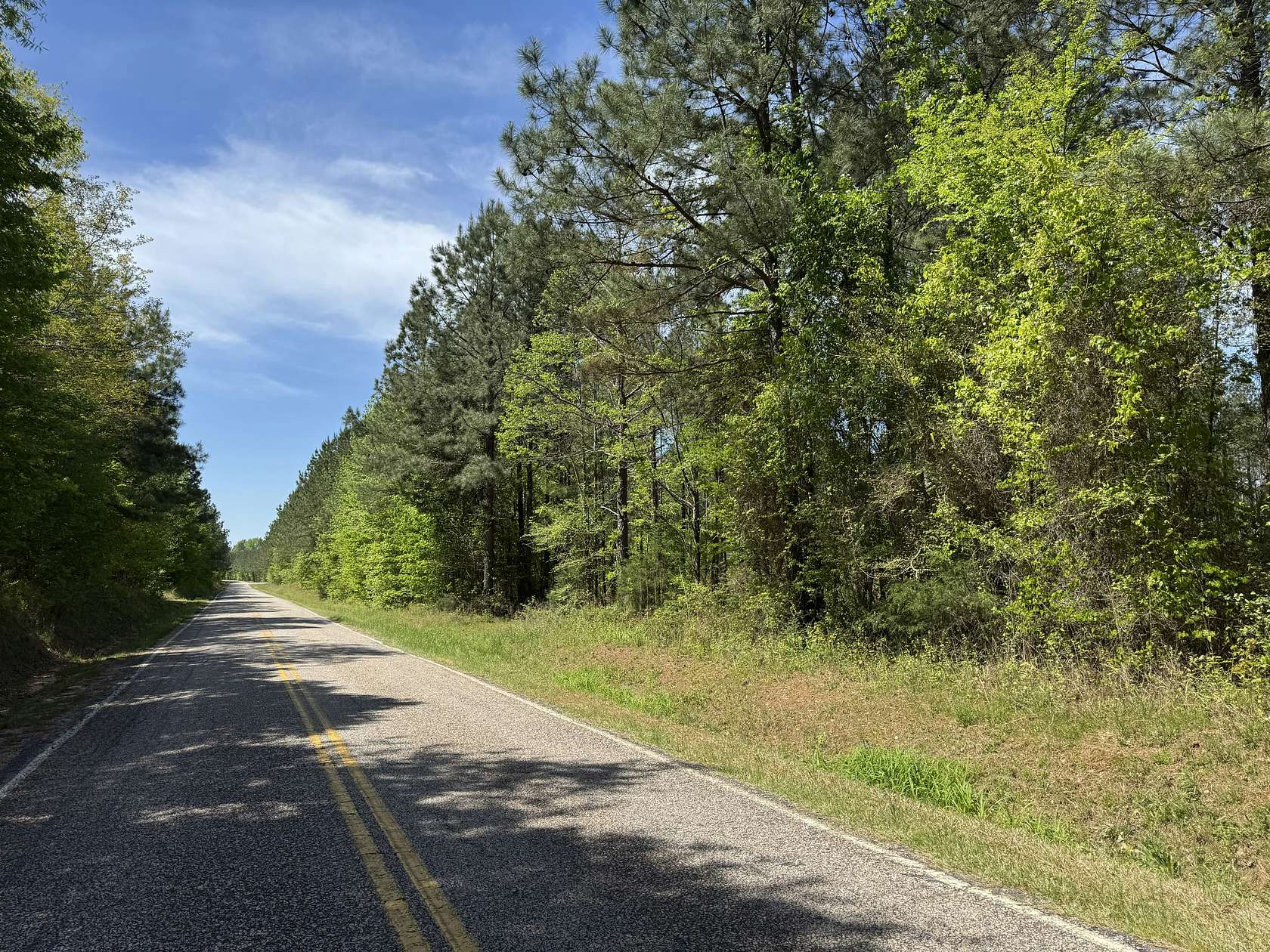 299 Acres of Recreational Land for Sale in Chester, South Carolina