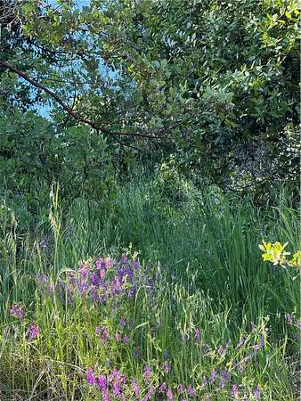 0.38 Acres of Residential Land for Sale in Nice, California