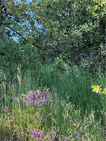 0.38 Acres of Residential Land for Sale in Nice, California