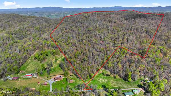 74.5 Acres of Recreational Land for Sale in Jonesville, Virginia
