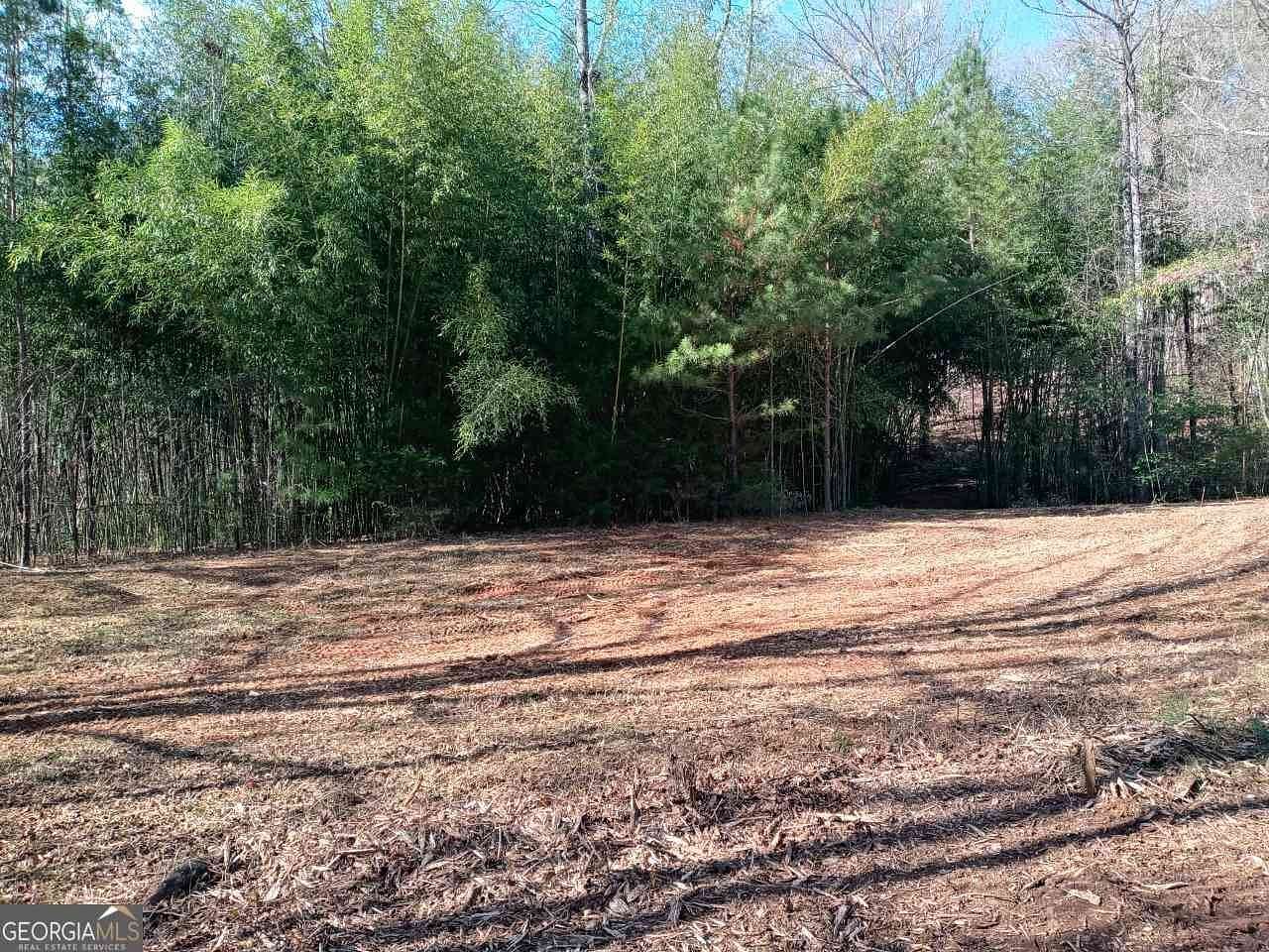 6.47 Acres of Residential Land for Sale in McDonough, Georgia