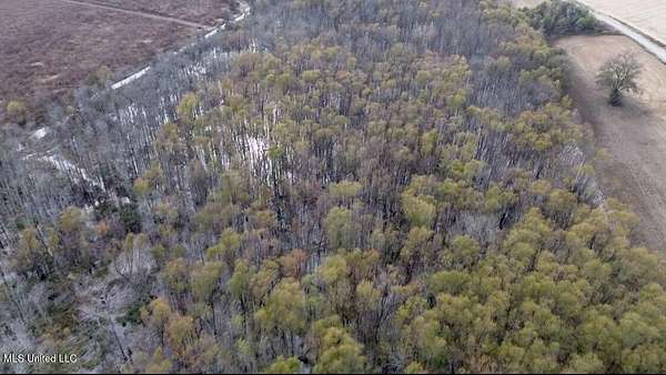 37 Acres of Land for Sale in Indianola, Mississippi