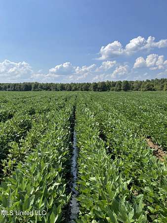 590 Acres of Agricultural Land for Sale in Anguilla, Mississippi