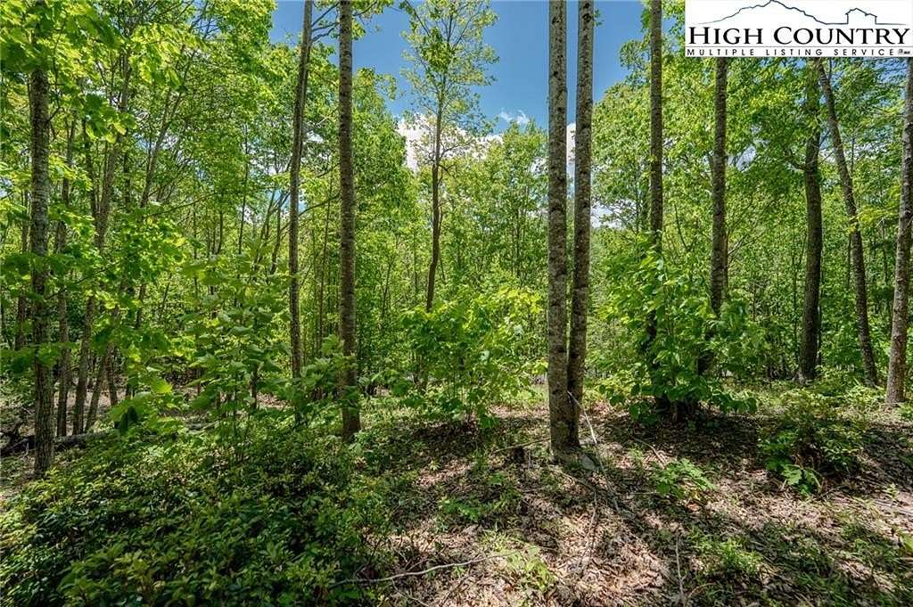 1.63 Acres of Residential Land for Sale in Elk Park, North Carolina