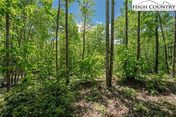 1.63 Acres of Residential Land for Sale in Elk Park, North Carolina